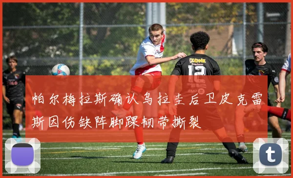 帕尔梅拉斯确认乌拉圭后卫皮克雷斯因伤缺阵脚踝韧带撕裂