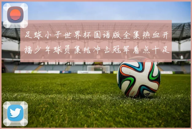 足球小子世界杯国语版全集热血开播少年球员集结冲击冠军看点十足