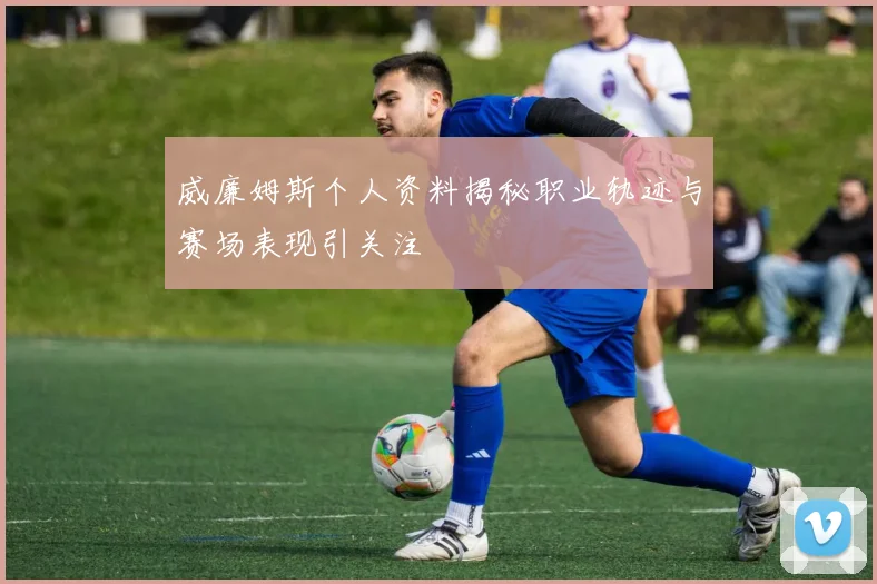 威廉姆斯个人资料揭秘职业轨迹与赛场表现引关注